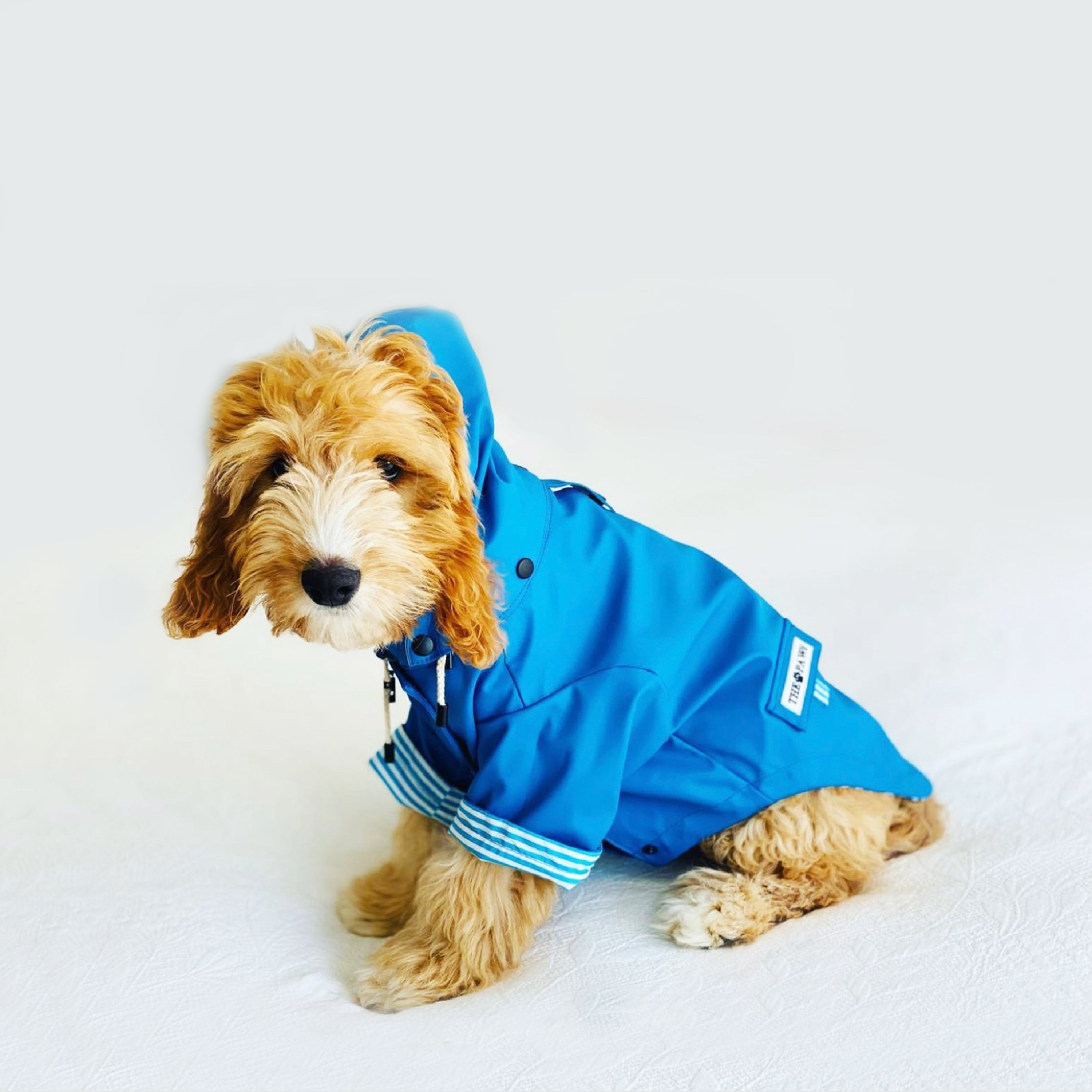Sloane Waterproof Dog Rain Jacket Navy