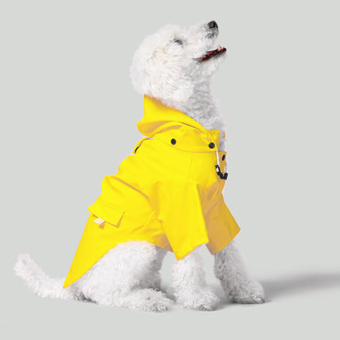 Sloane Waterproof Dog Rain Jacket Lemon