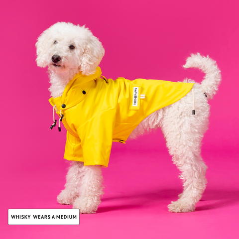 Sloane Waterproof Dog Rain Jacket Lemon