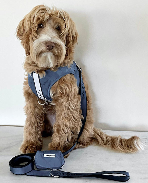 Brooklyn Dog Harness Navy