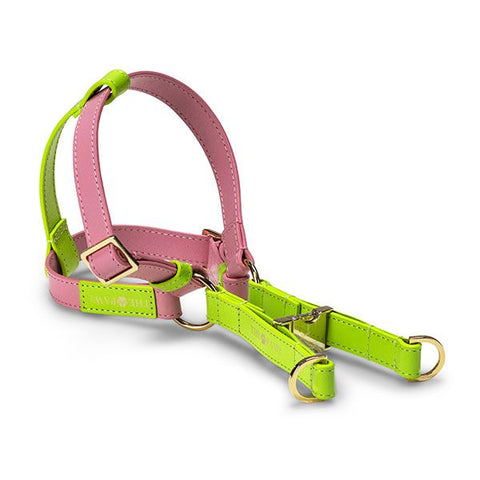 Abigale Step in Dog Harness