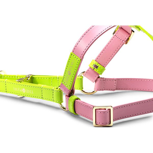 Abigale Step in Dog Harness